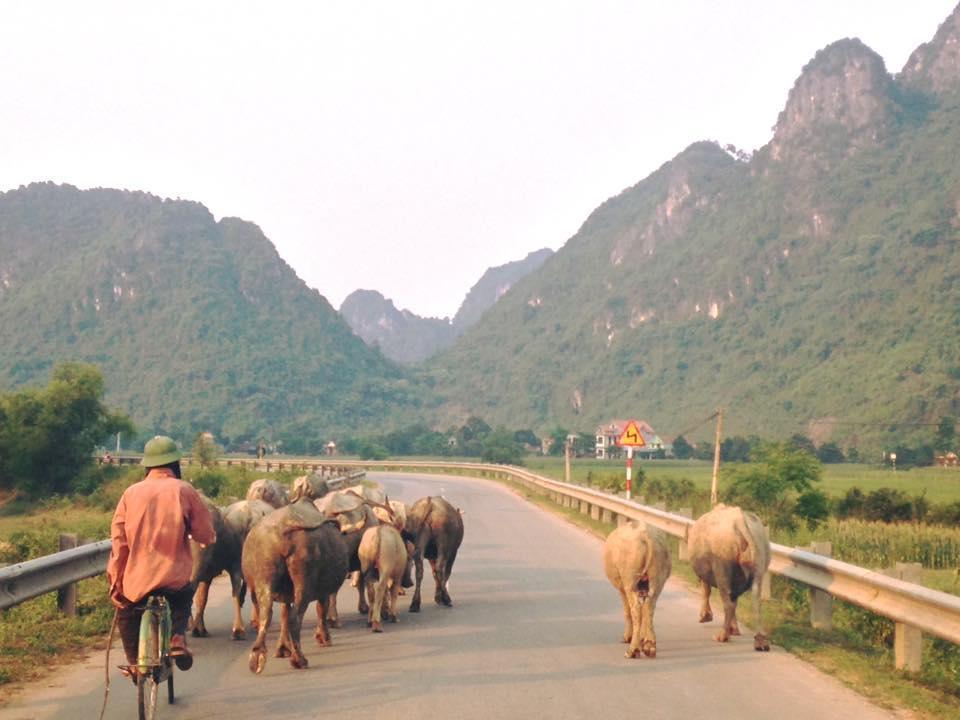 Phong Nha Midtown Hotel Cu Lac Kültér fotó